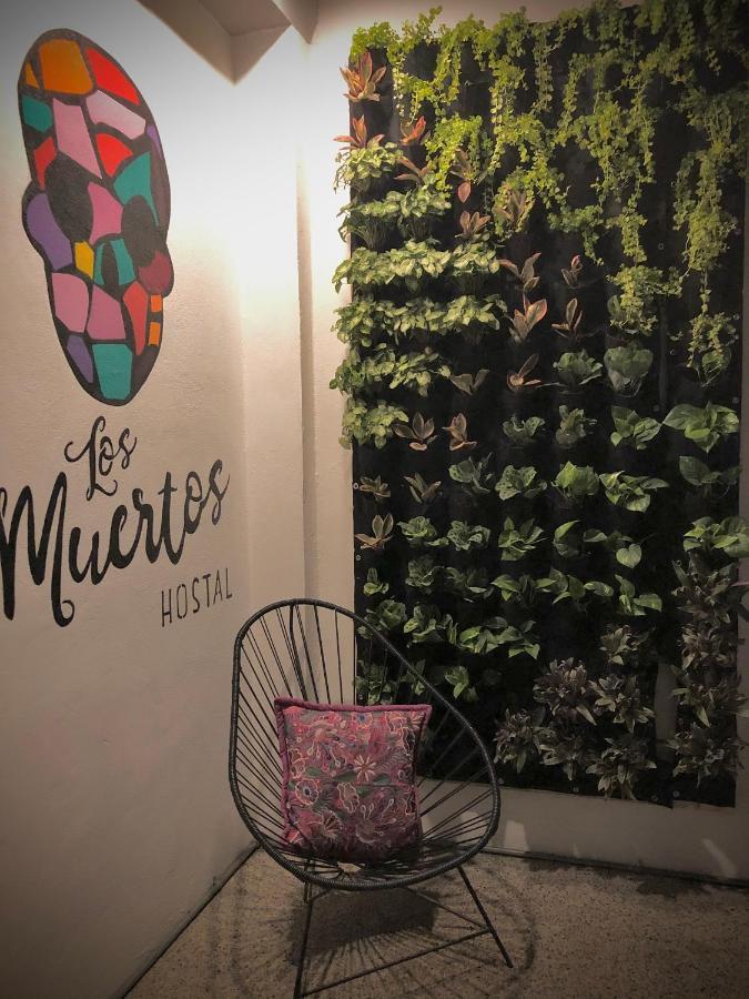 Los Muertos Hostal Puerto Vallarta Dış mekan fotoğraf