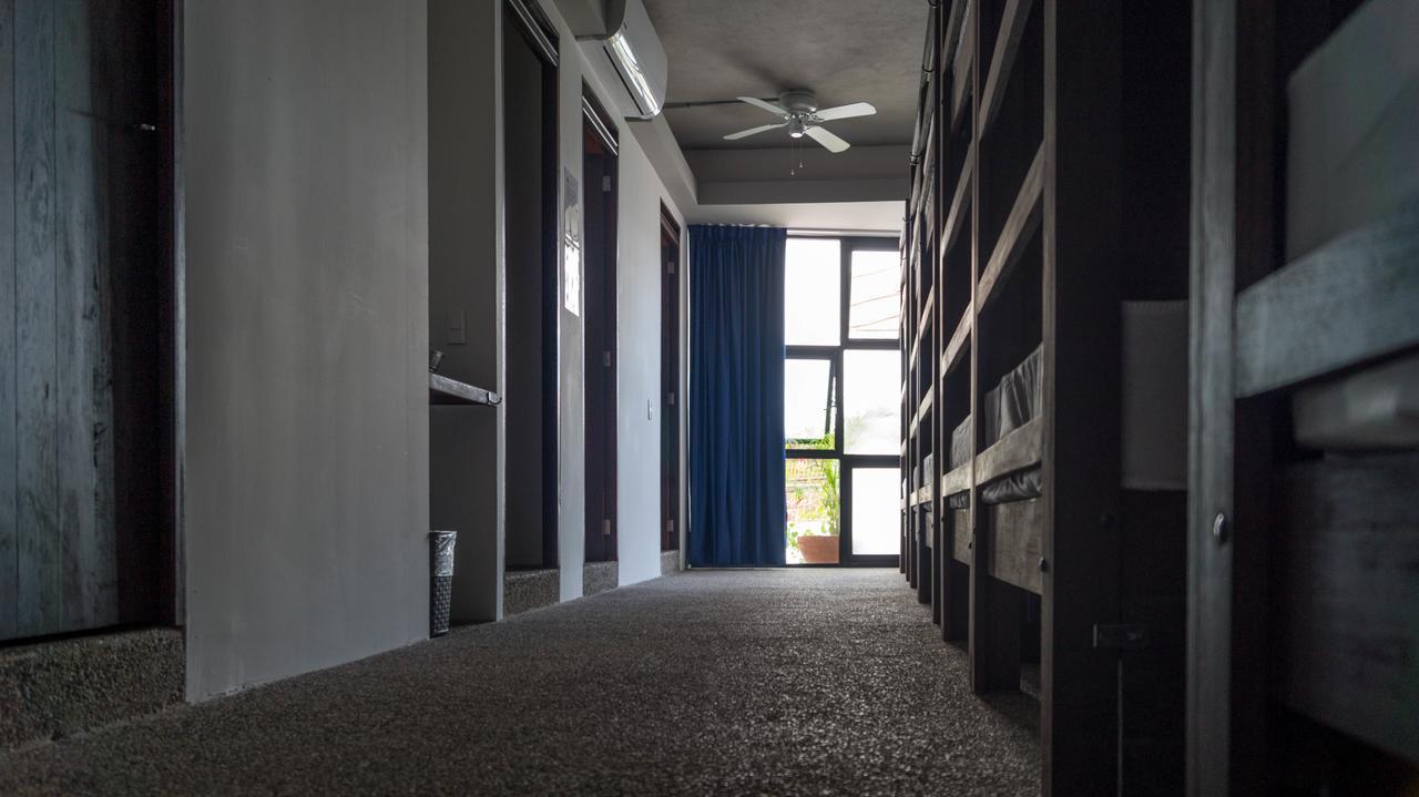 Los Muertos Hostal Puerto Vallarta Oda fotoğraf